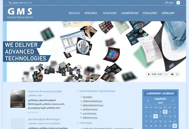 Screenshot of gmsgroup.ge