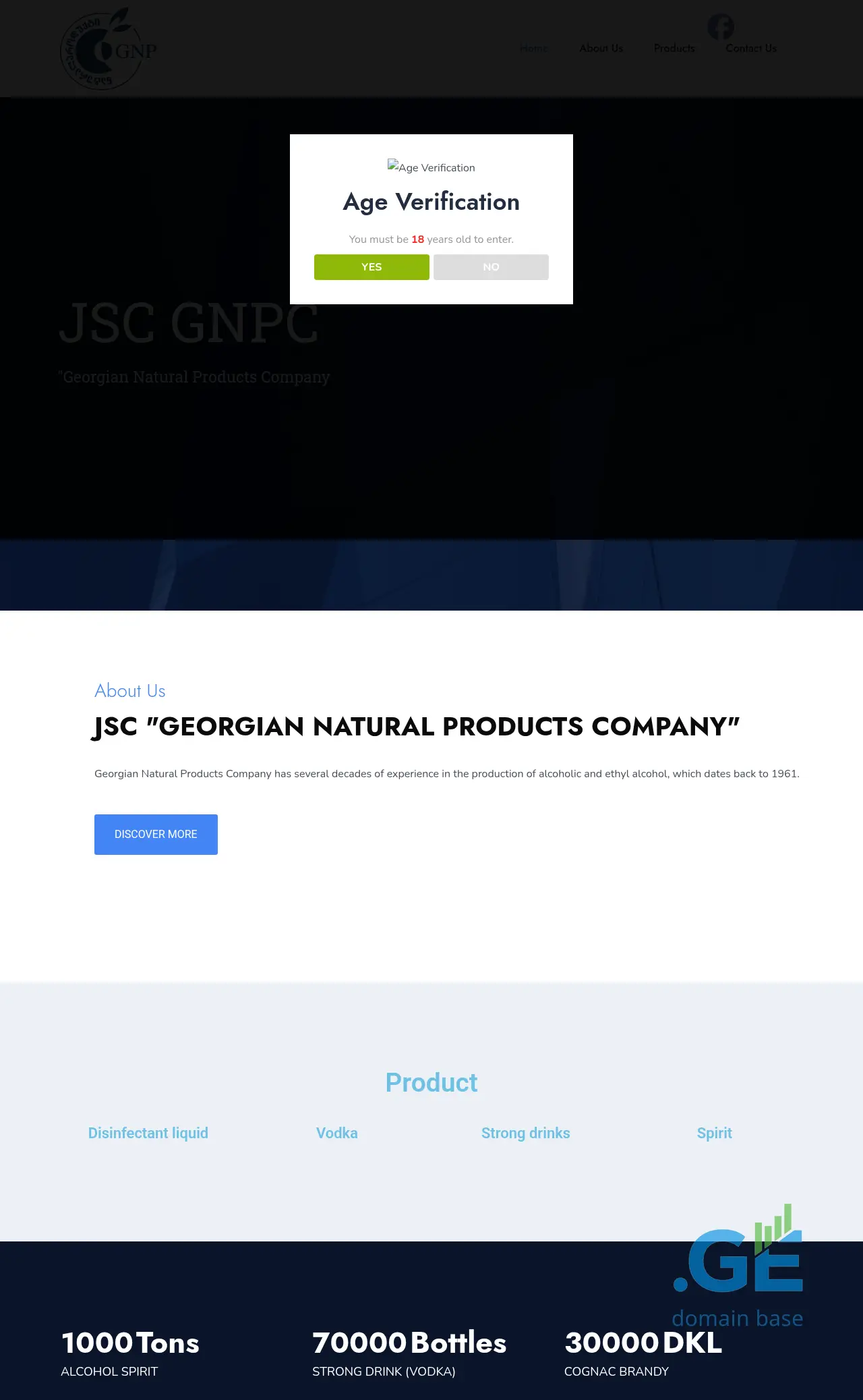 Screenshot of the site gnp1961.ge