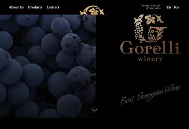 Screenshot of gorelli.ge