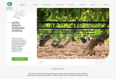 Screenshot of green.com.ge