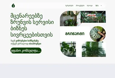 Screenshot of greenart.ge