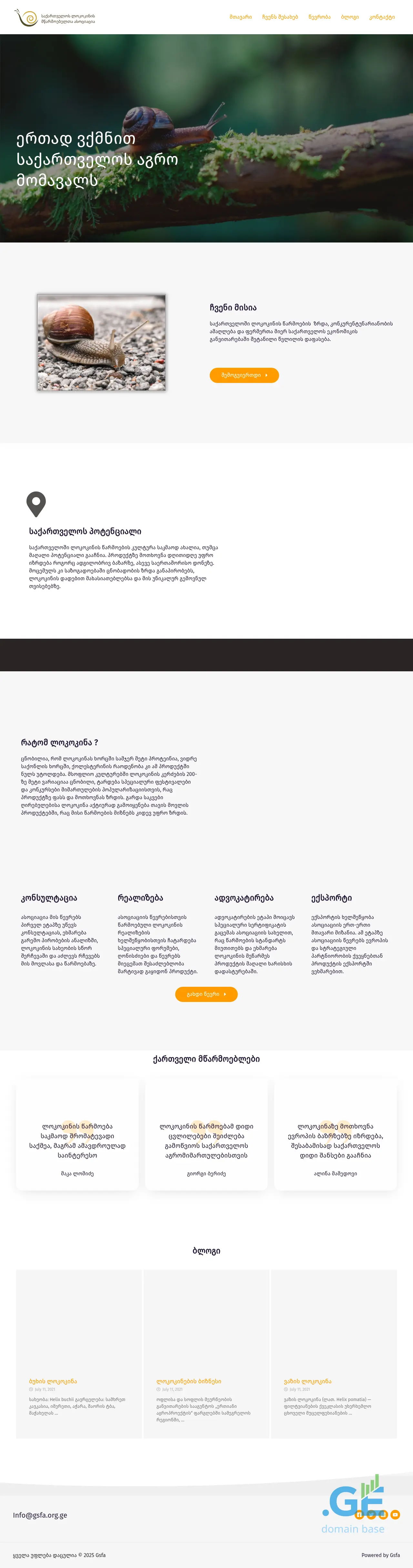 Screenshot of the site gsfa.org.ge