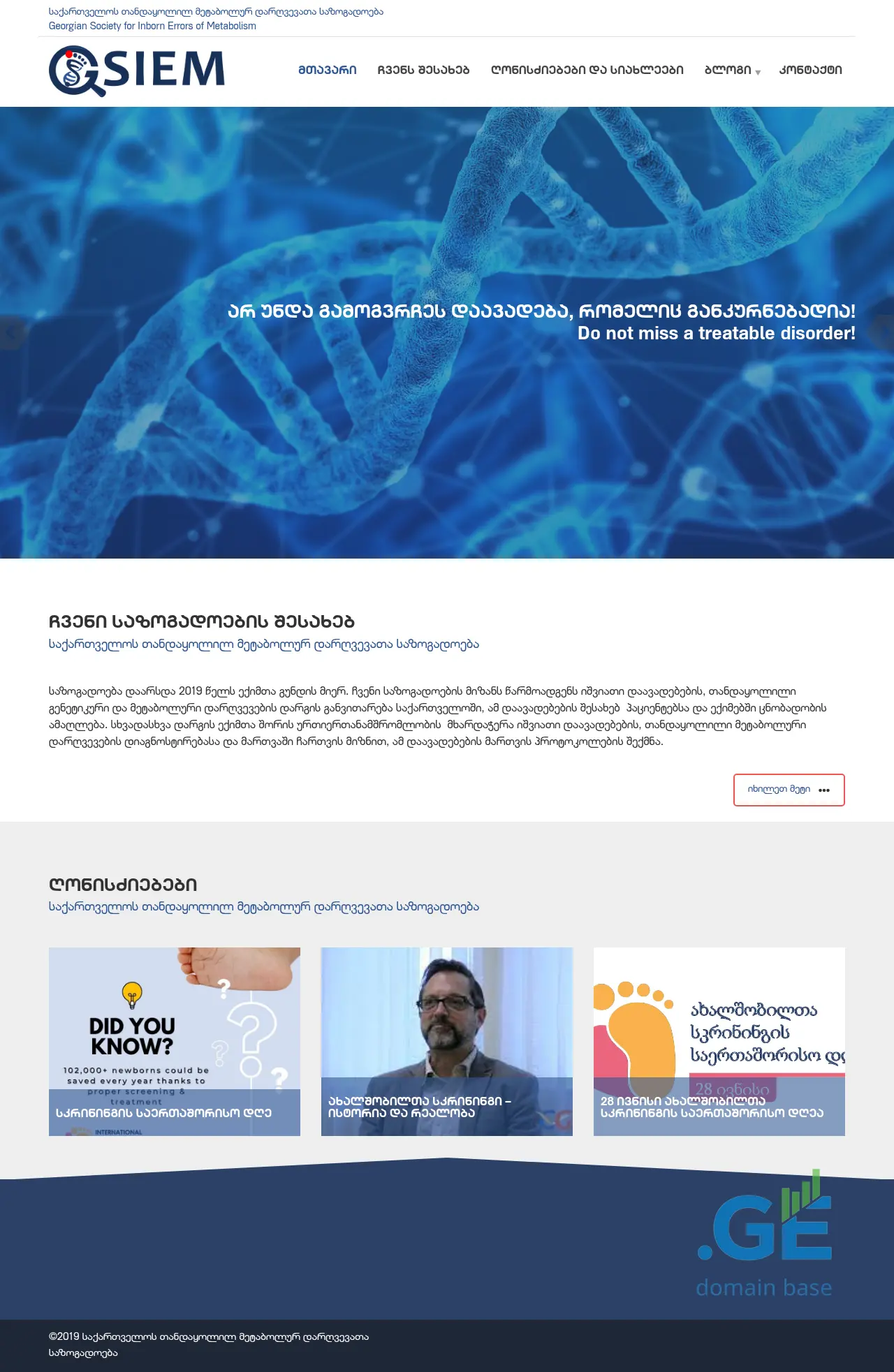 Screenshot of the site gsiem.ge