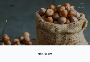 Скриншот gtgplus.ge