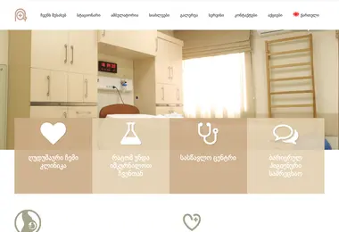 Screenshot of gudushauri.ge