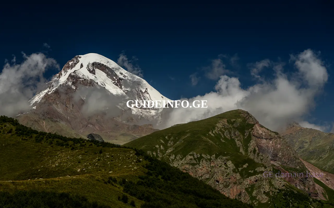 Screenshot of the site guideinfo.ge