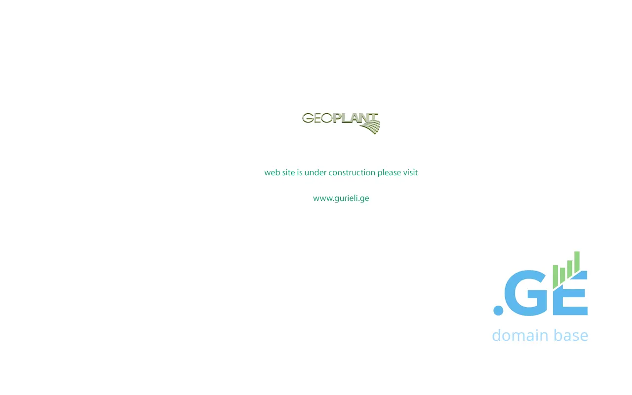Screenshot of the site gurieli.com.ge