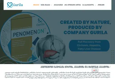 Screenshot of gurila.ge