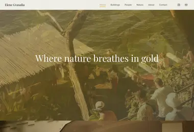 Screenshot of gvasalia.ge