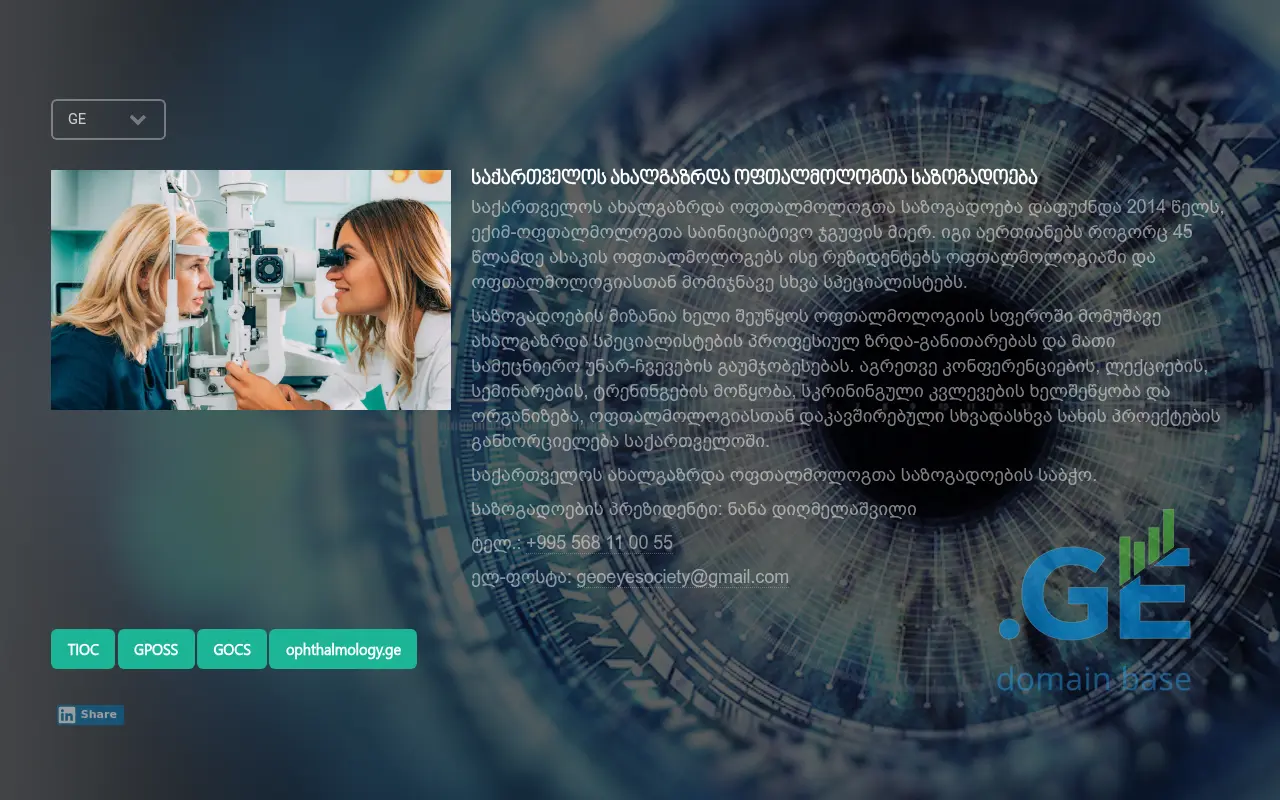 Screenshot of the site gyos.ge