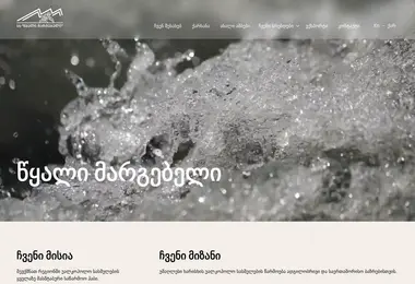 Screenshot of healthywater.ge