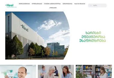 Screenshot of heel.ge