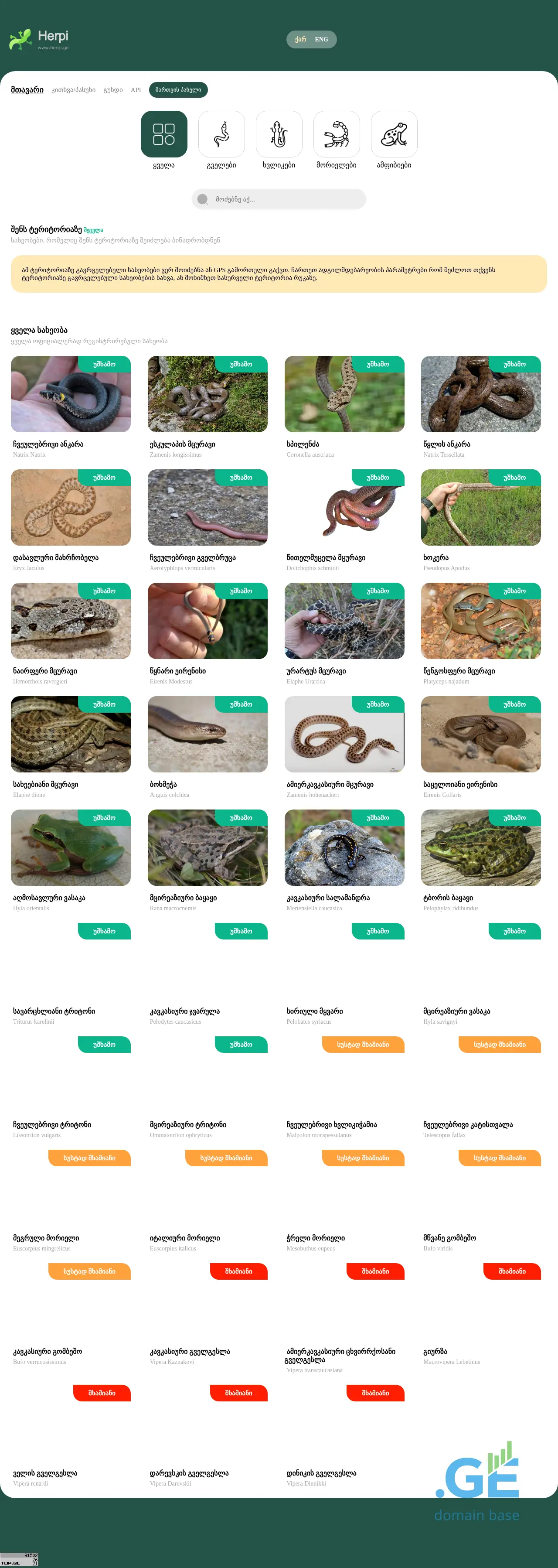 Screenshot of the site herpi.ge