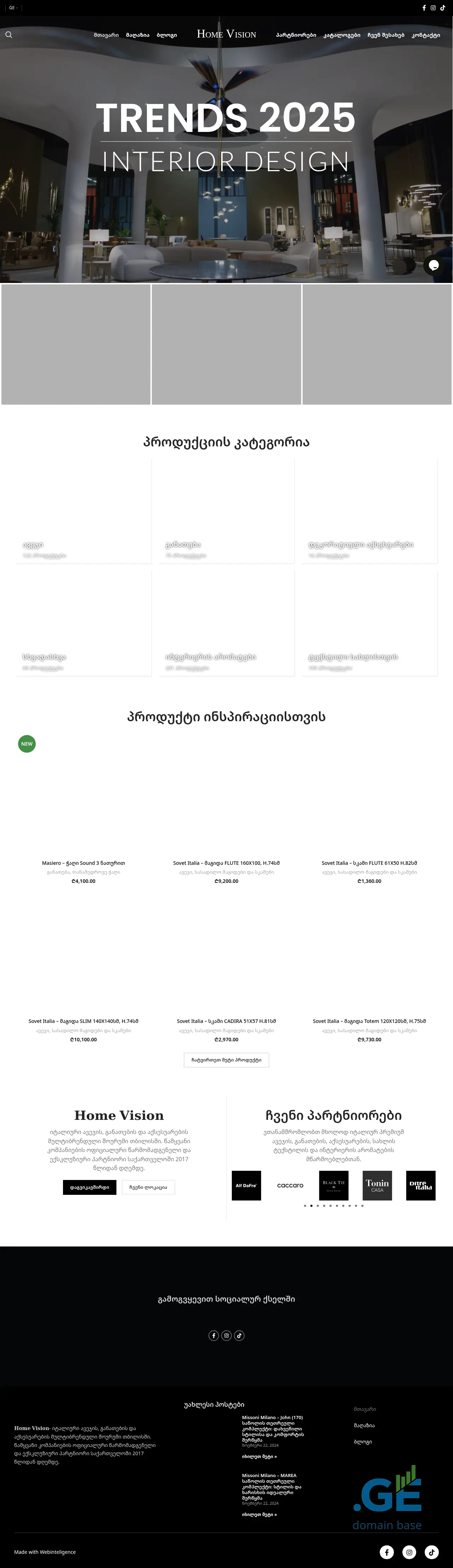 Screenshot of the site homevision.ge