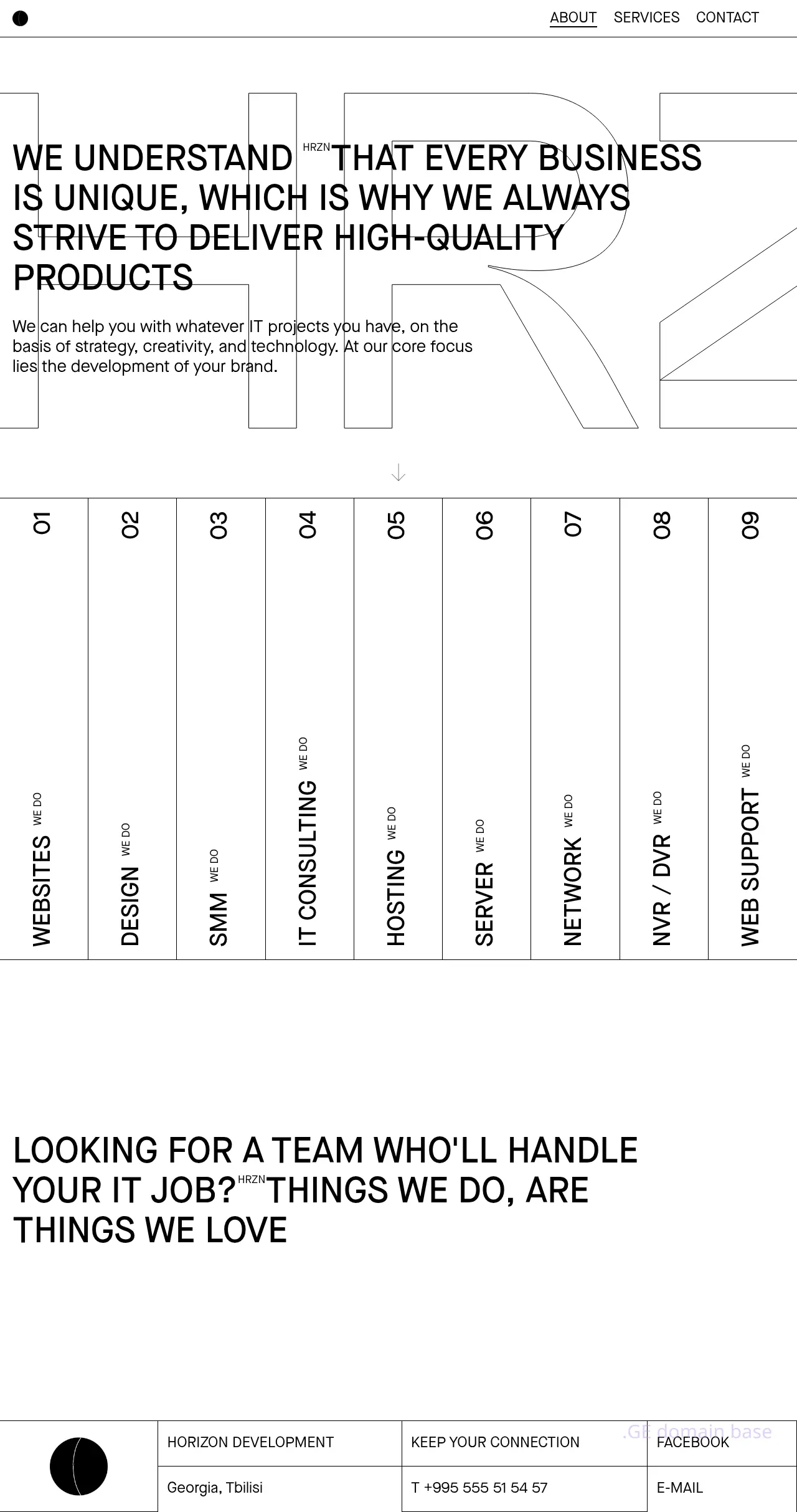 Screenshot of the site horizon.ge