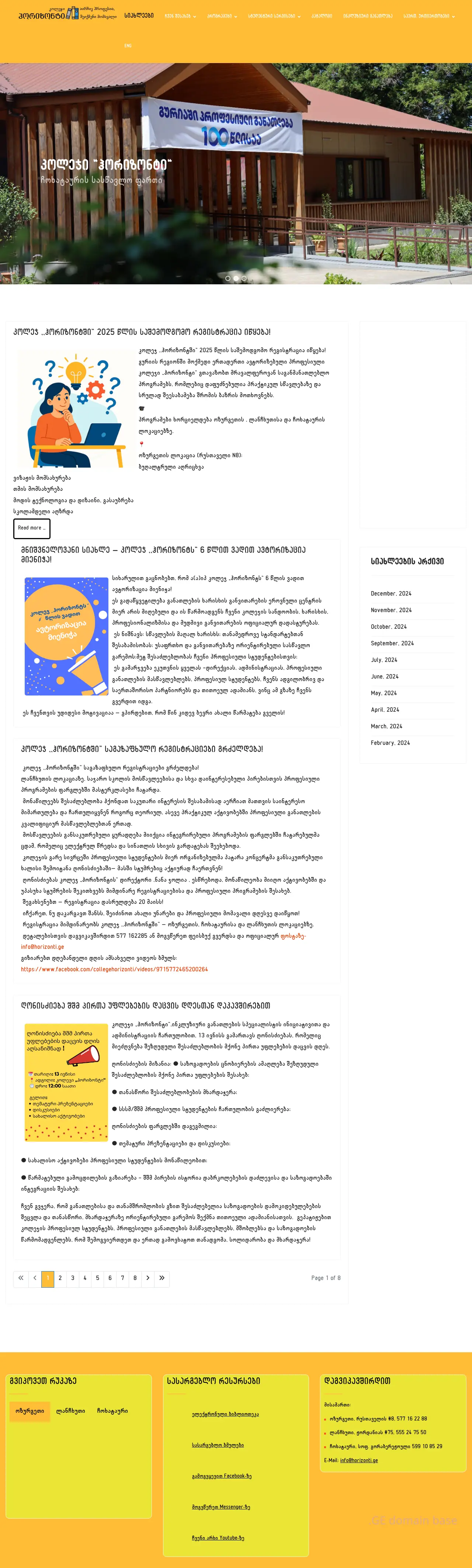 Screenshot of the site horizonti.ge