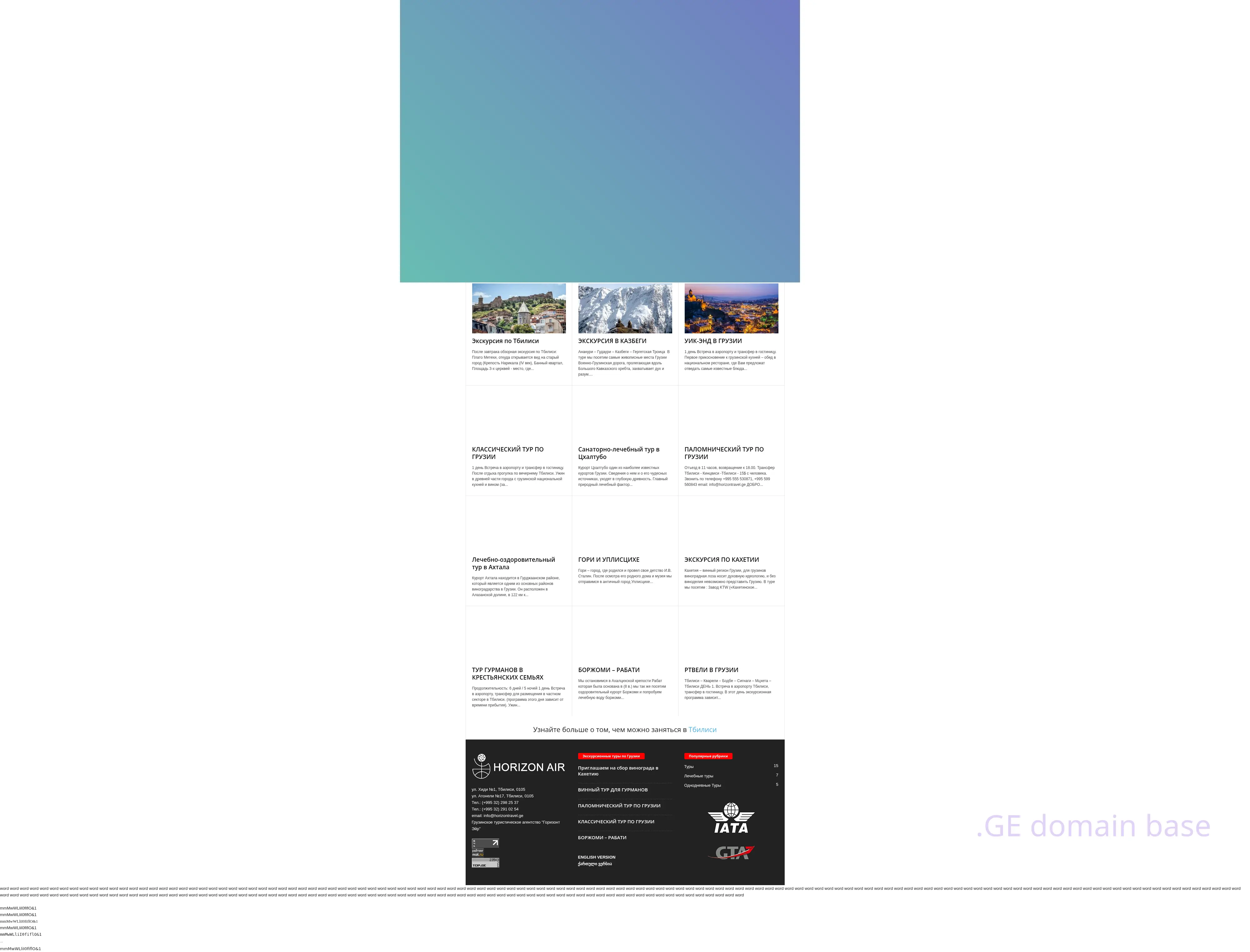Screenshot of the site horizontravel.ge