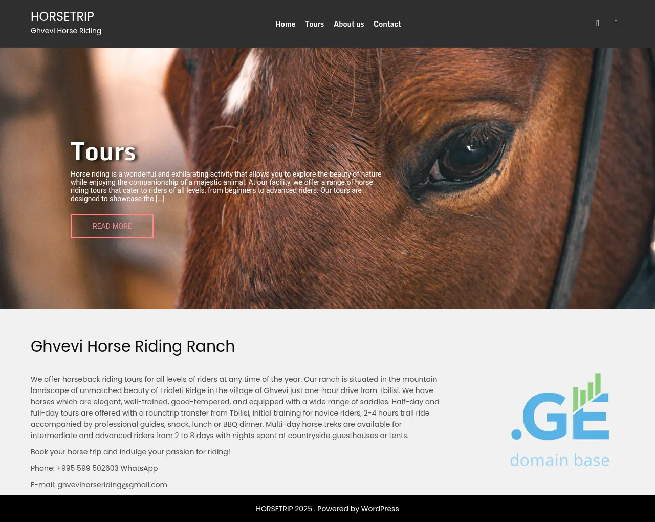 Screenshot of the site horsetrip.ge