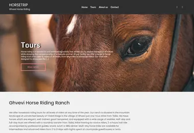 Screenshot of horsetrip.ge