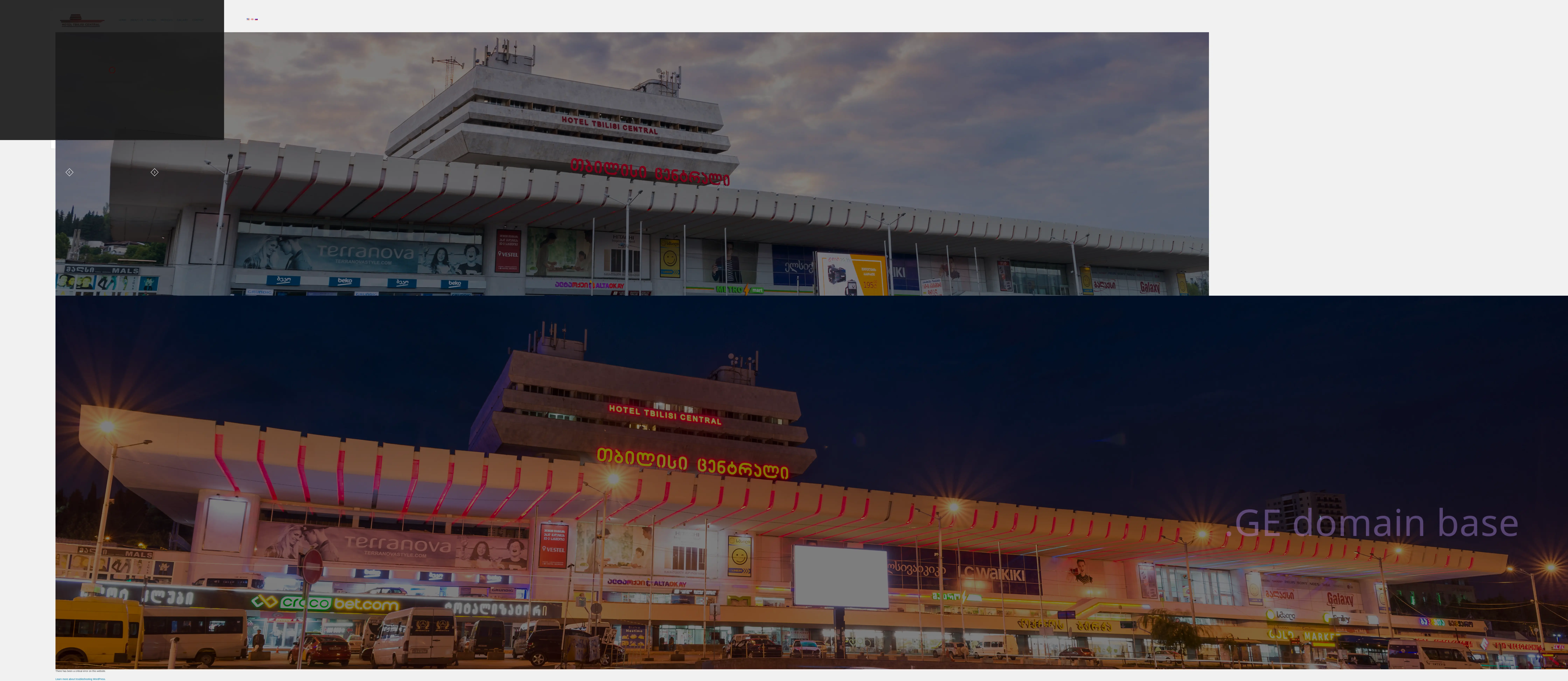 Screenshot of the site hoteltbilisicentral.ge