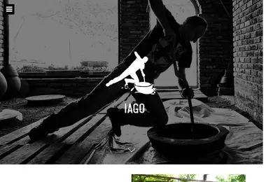Screenshot of iago.ge