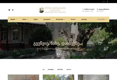 Screenshot of ichavchavadze.ge