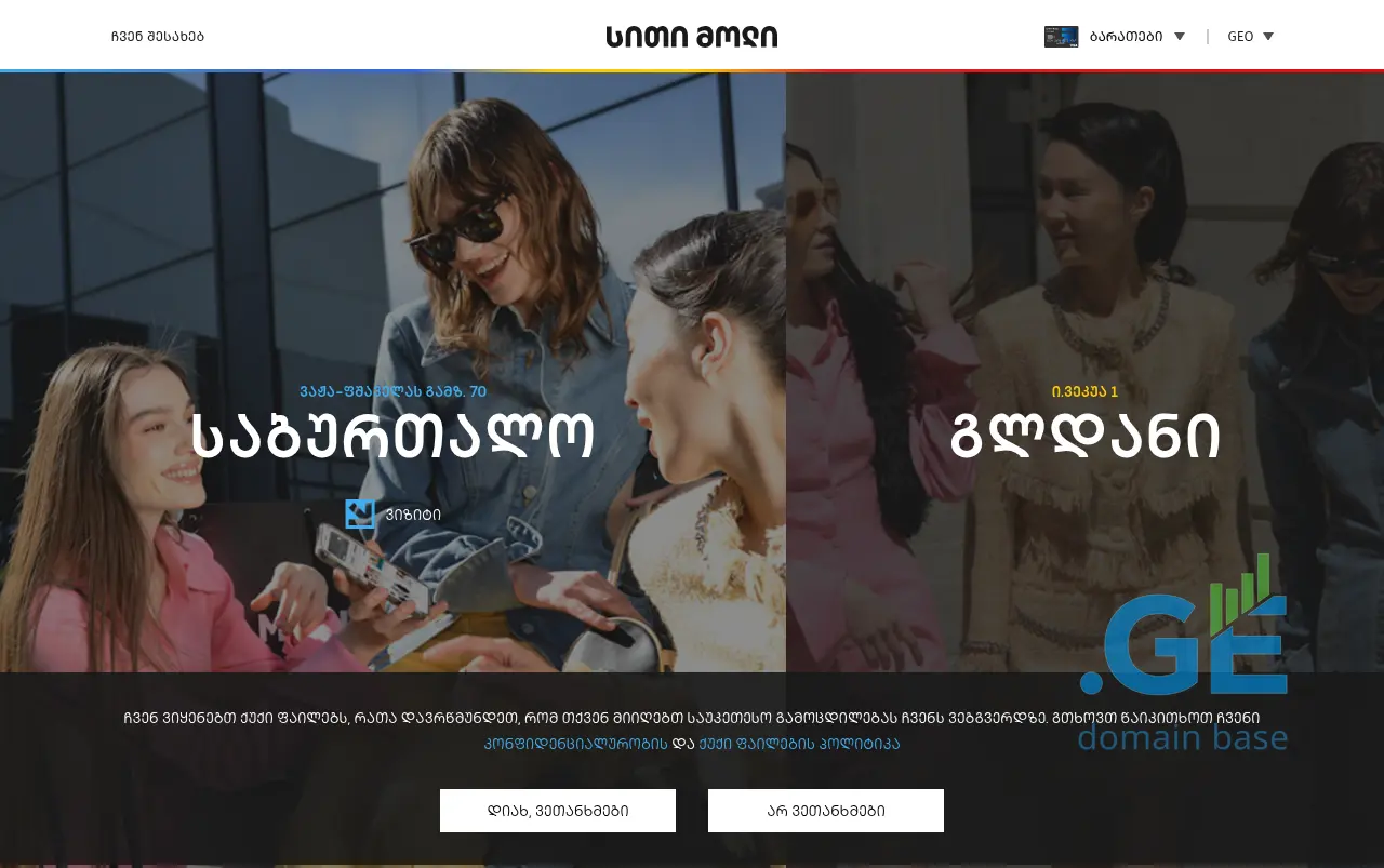 Screenshot of the site igdevelopment.ge