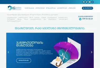 Скриншот iginsurance.ge