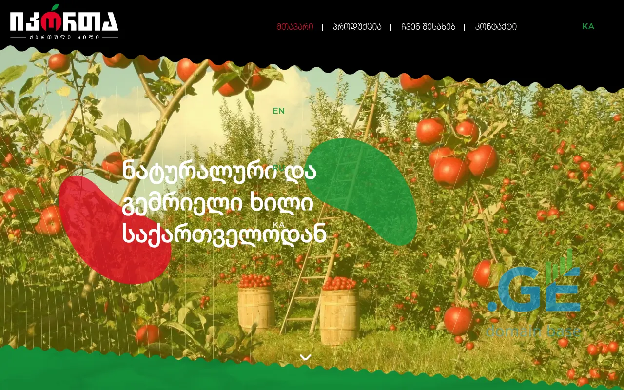 Screenshot of the site ikorta-agro.ge