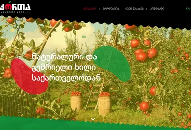 Screenshot of ikorta-agro.ge