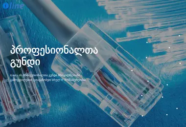 Screenshot of iline.ge