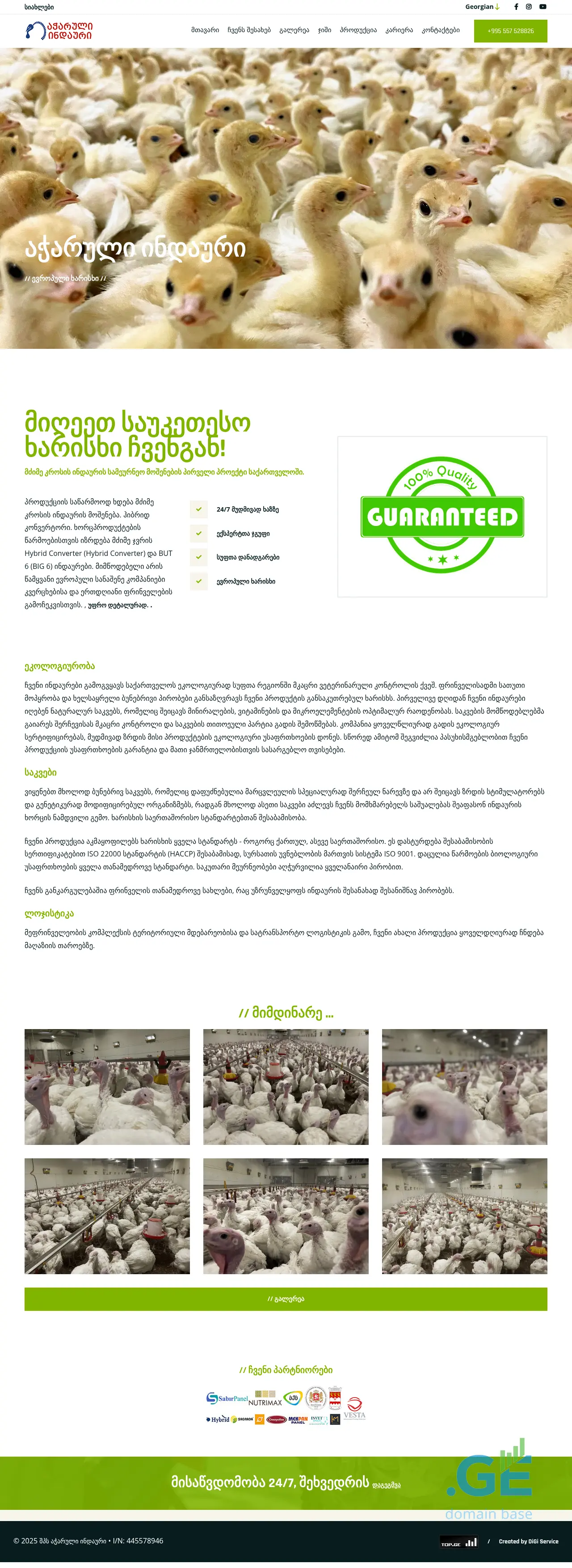 Screenshot of the site indauri.ge