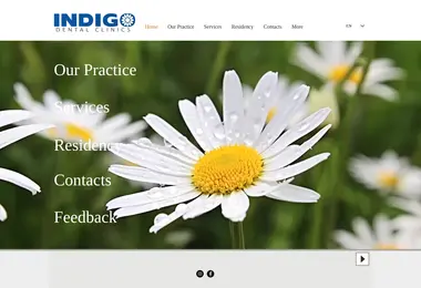 Screenshot of indigo.ge