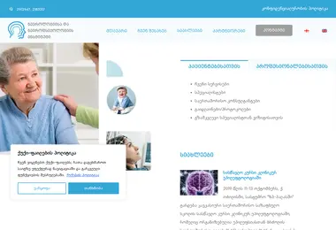 Screenshot of inn.org.ge