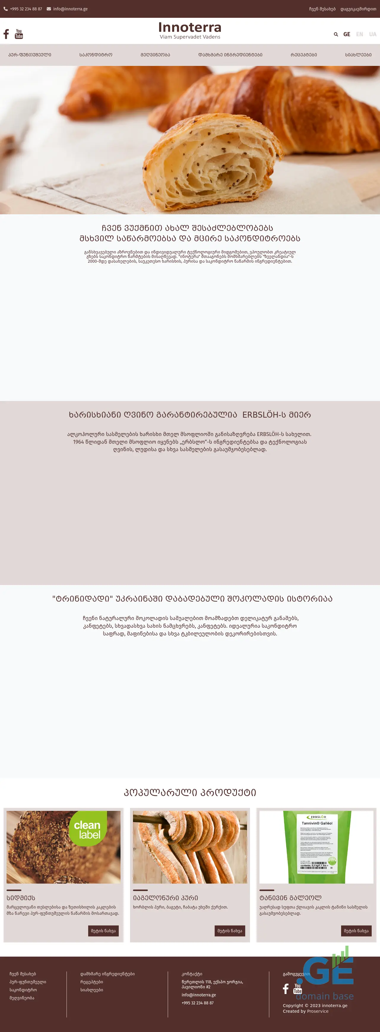 Screenshot of the site innoterra.ge