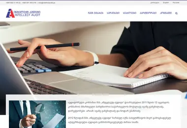 intellectaudit.ge-ის ეკრანის სურათი