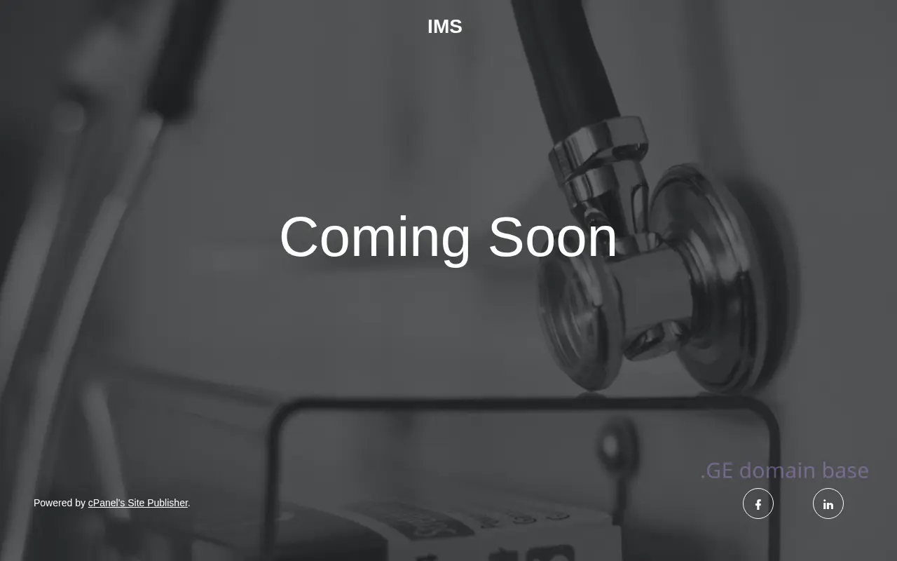 Screenshot of the site intermedservice.ge