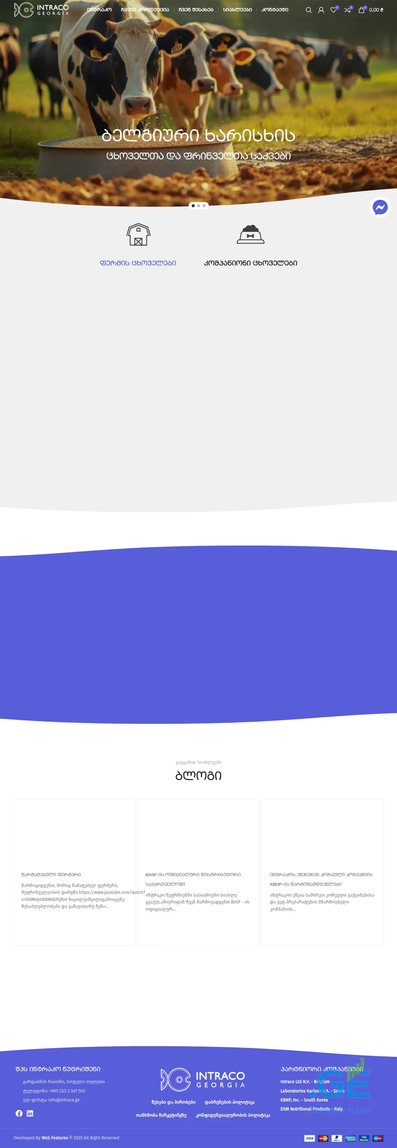 Screenshot of the site intraco.ge