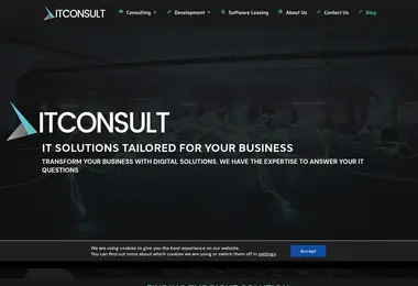 Screenshot of itconsult.ge