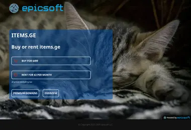 Screenshot of items.ge