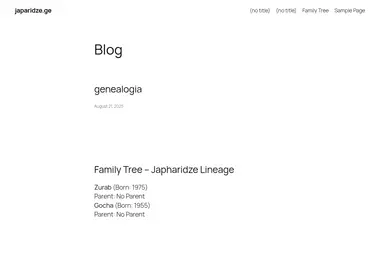 Screenshot of japaridze.ge