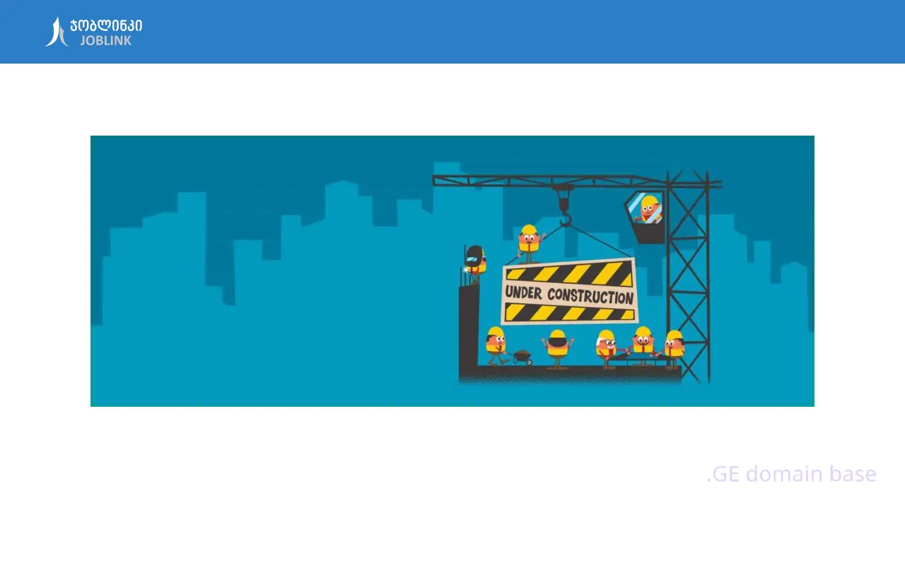 Screenshot of the site joblink.ge