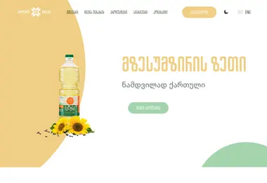 Screenshot of jolio.ge