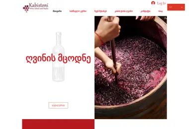 Screenshot of kabistoni.ge