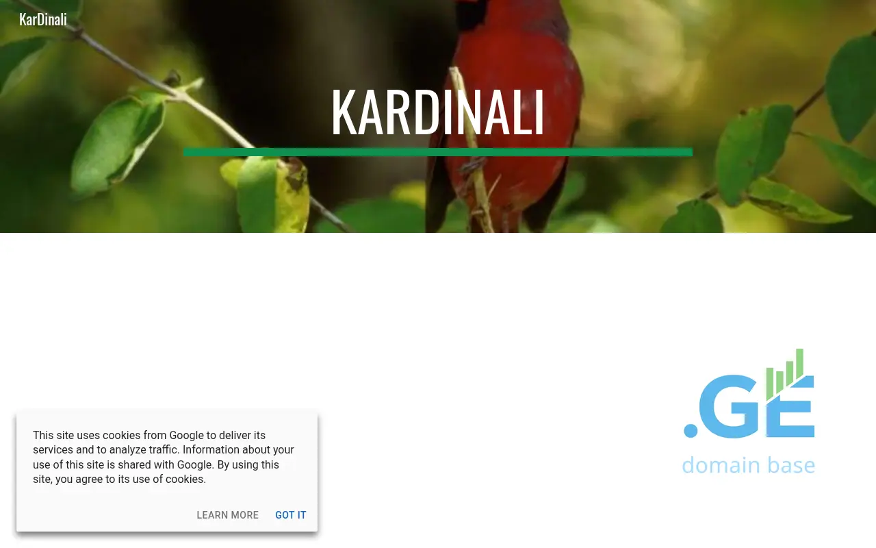 Screenshot of the site kardinali.ge