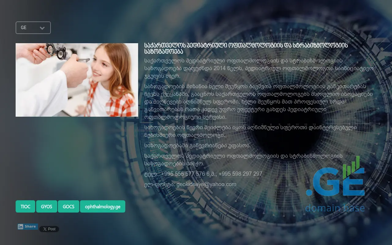 Screenshot of the site kidseye.ge