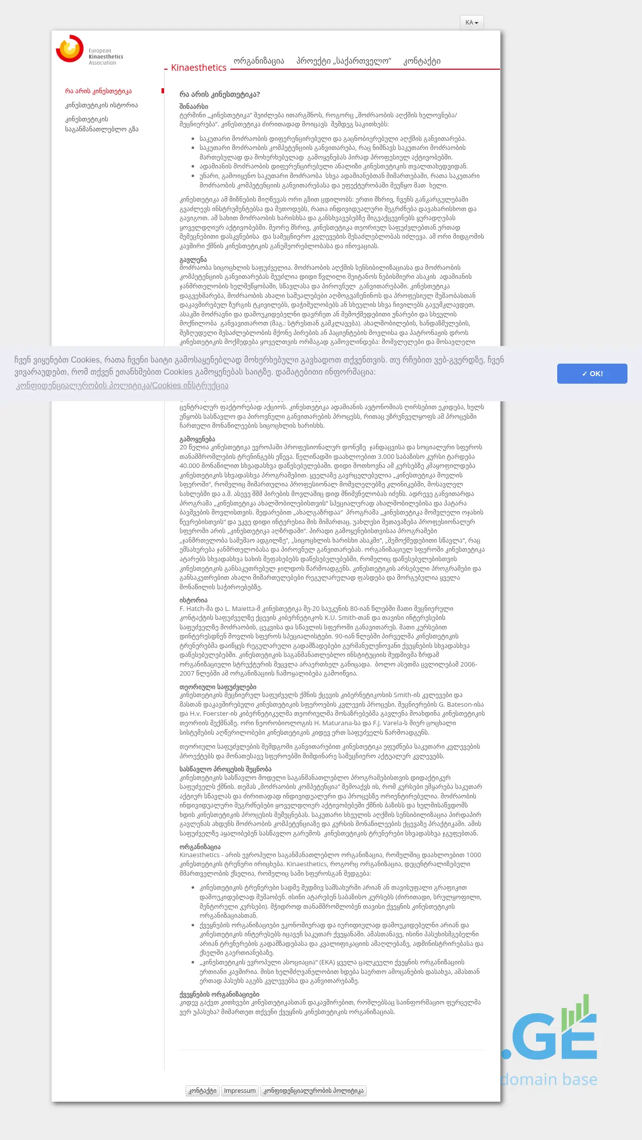 Screenshot of the site kinaesthetics.ge