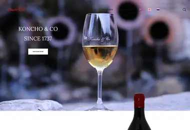 Screenshot of koncho.ge