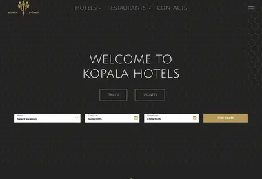 Screenshot of kopala.ge