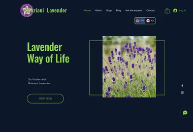 Screenshot of lavendershop.ge